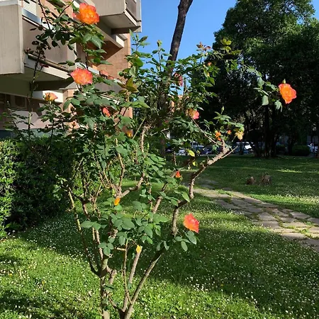 Apartment Sunshine